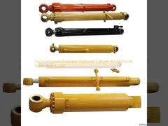 Factory Custom Excavator Hydraulic Cylinder for All Brands Boom Arm Bucket